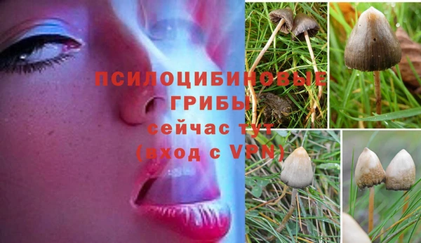 MESCALINE Алексеевка