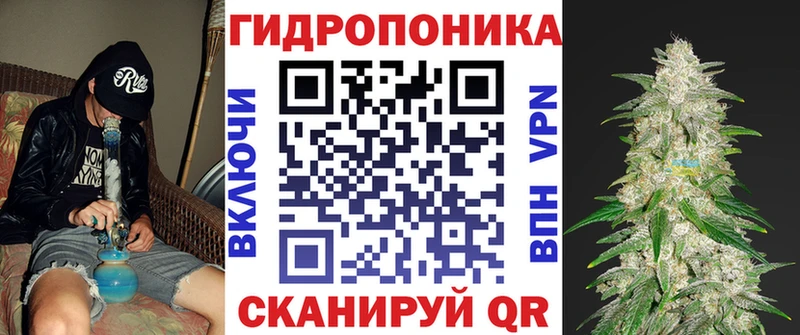 Шишки марихуана гибрид  как найти закладки  Люберцы 